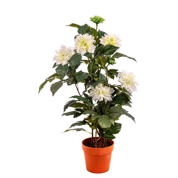 Cserepes Dália fehér 89 cm