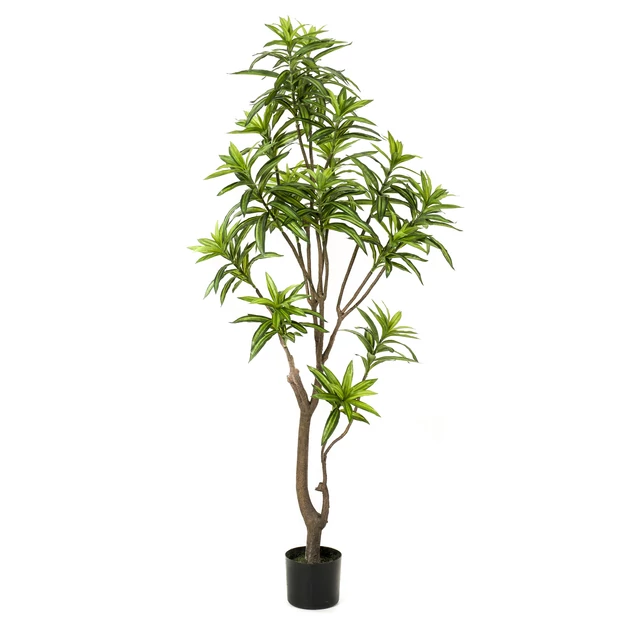 Dracénafa/selyem 155 cm