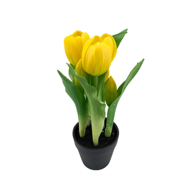 Élethű cserepes gumi tulipán gömbölyű fejű sárga 22cm