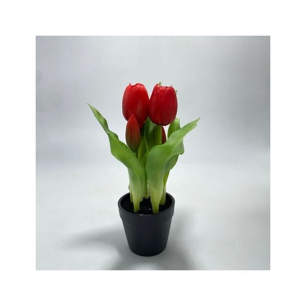 Élethű cserepes gumi tulipán piros 22cm