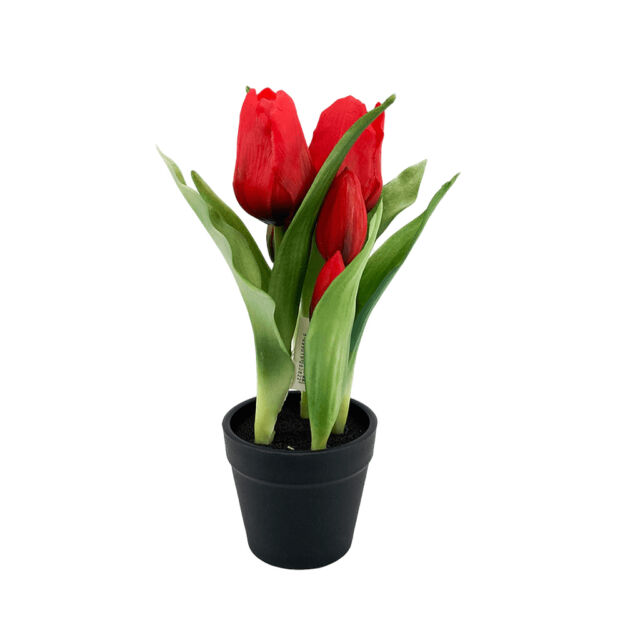 Élethű  cserepes gumi tulipán  piros  22cm
