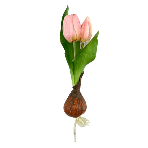 Élethű hagymás gumi tulipán rózsaszín