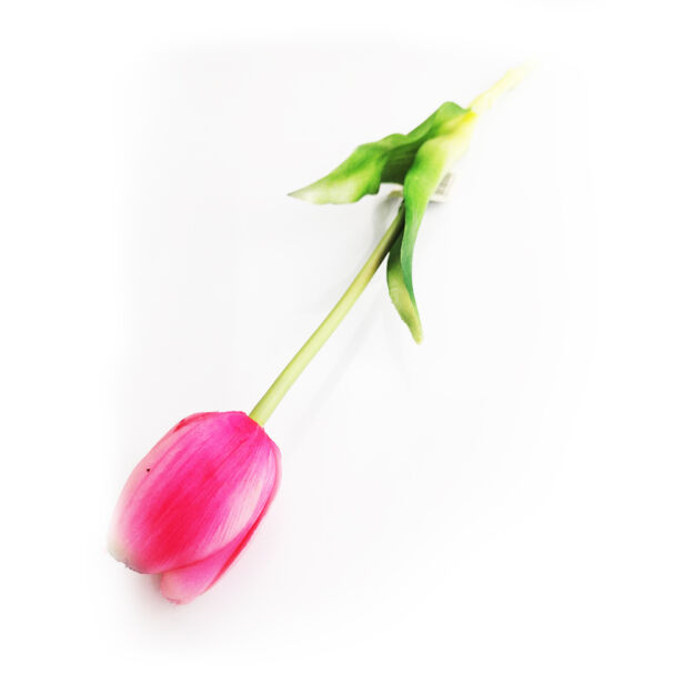Élethű szálas gumi tulipán - Zártfejű - Több színben