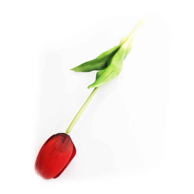 Élethű szálas gumi tulipán - Zártfejű - Több színben