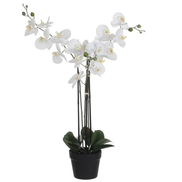 Nagy cserepes orchidea 75x 51 x79cm fehér