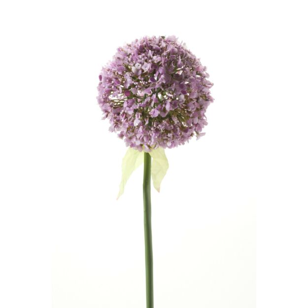 Selyem Allium/Díszhagyma/, szálas,lila 70cm