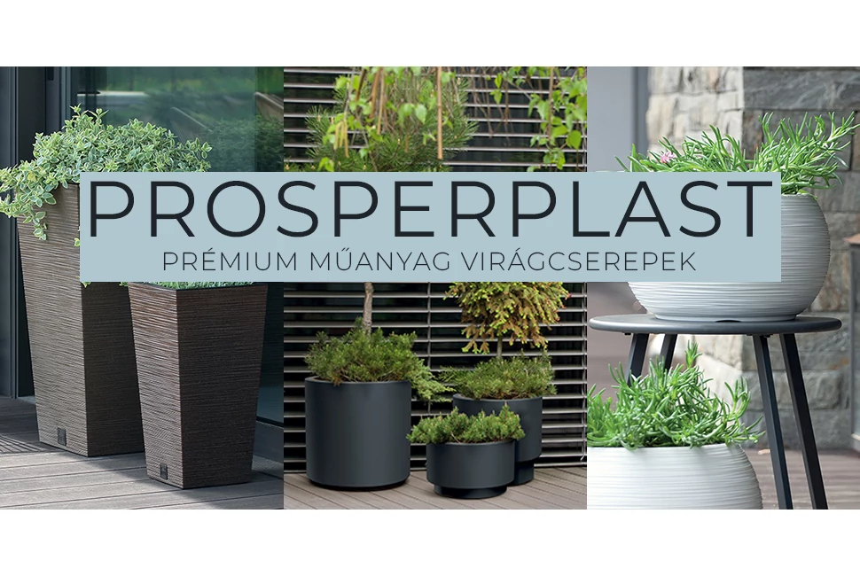 Prosperplast