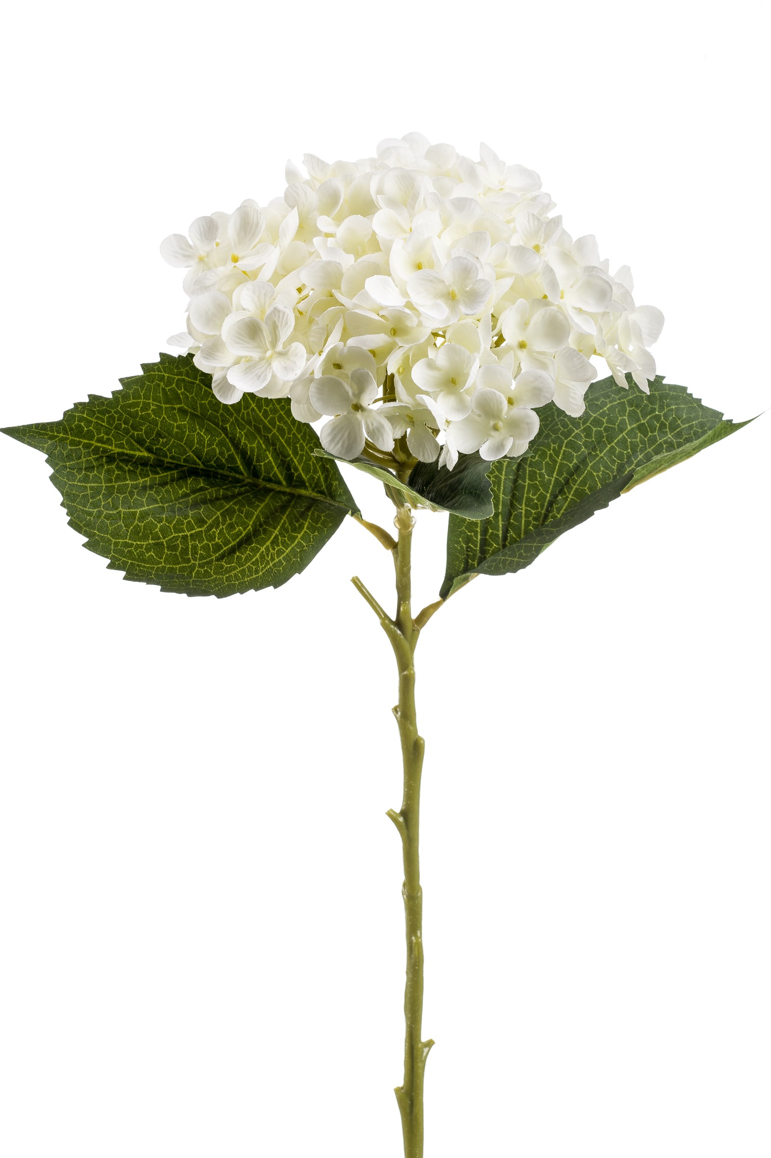 Hydrangea Annabelle/Hortenzia/ selyem 52 cm krém