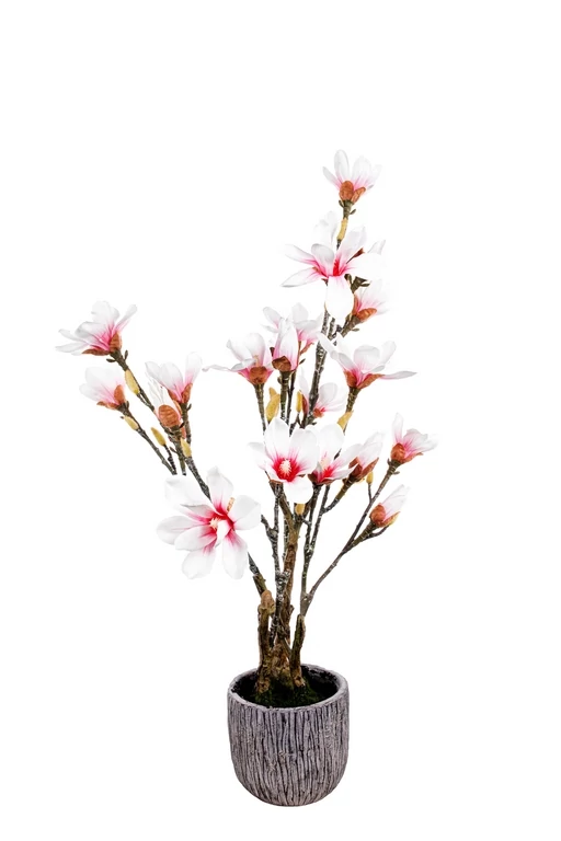Kaspós Magnólia fehér-pink 78 cm