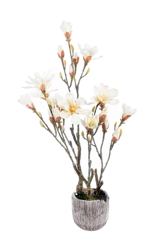Kaspós Magnólia krém 78 cm
