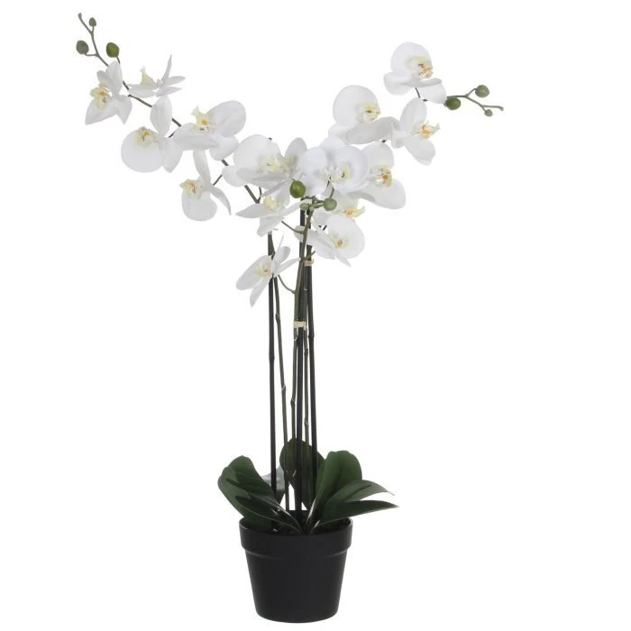 Nagy cserepes orchidea 75x 51 x79cm fehér
