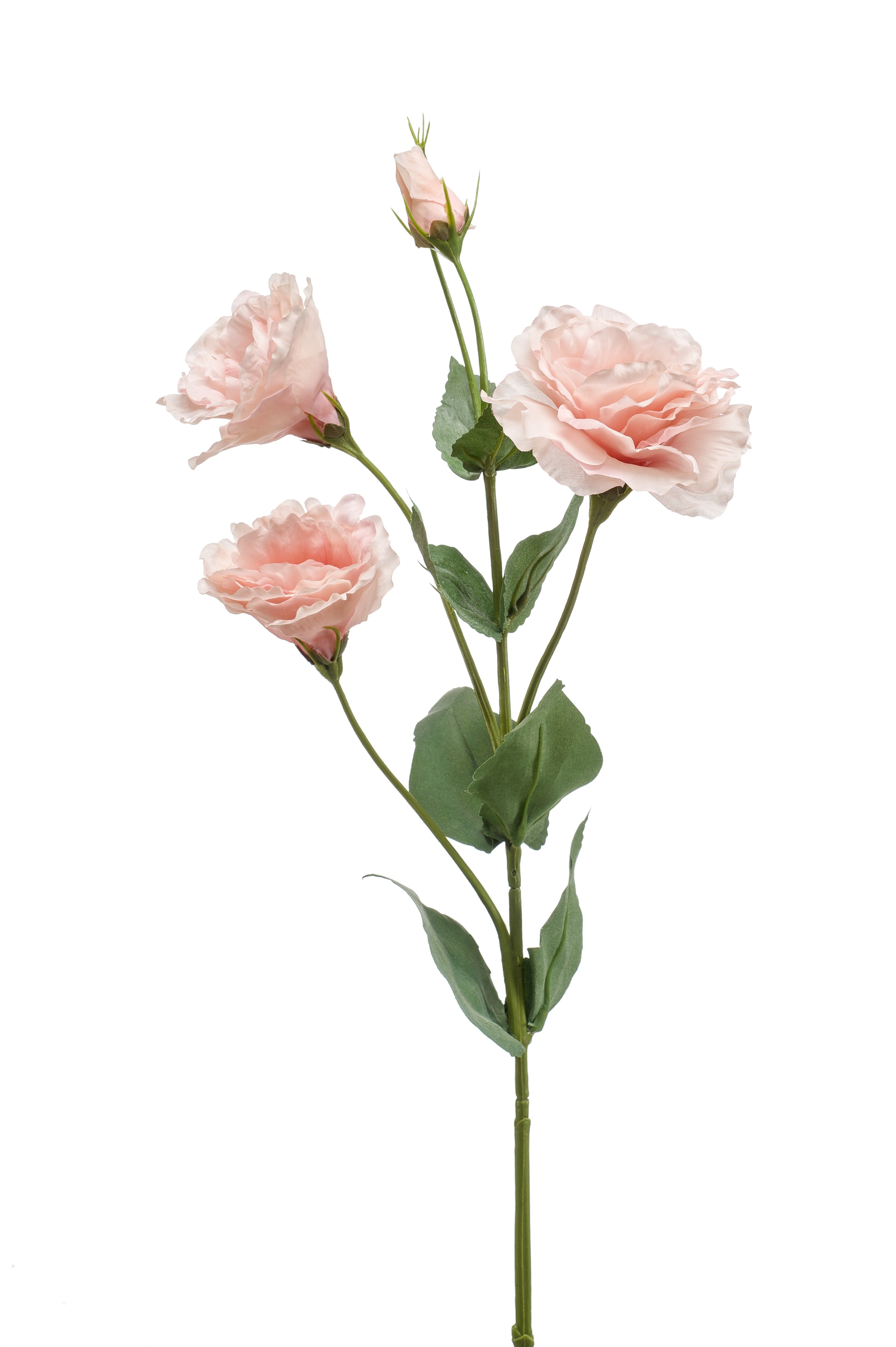 Selyem Eustoma/Liziantusz / szálas, pink 68 cm
