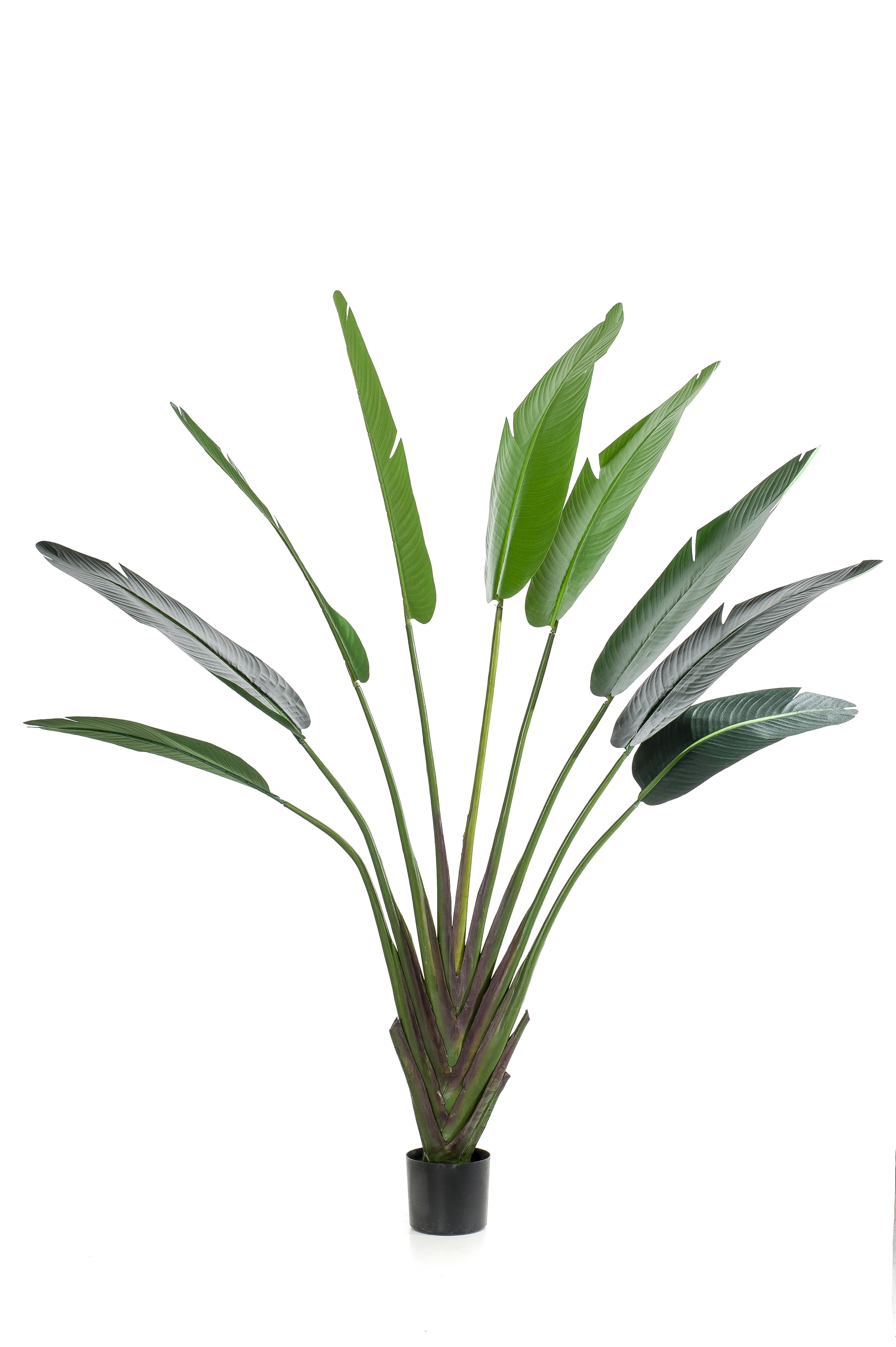 Selyem Strelizia/Papagájvirág/8 fa 180 cm 9 levél