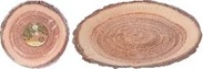 Tányér npapírból, 10b-os FA mintájú 27cm
